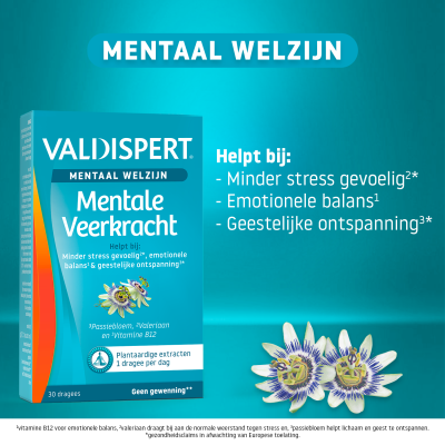 Mentale Veerkracht