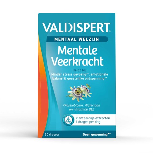 Mentale Veerkracht